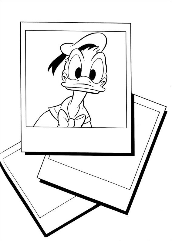 Photo Of Donald