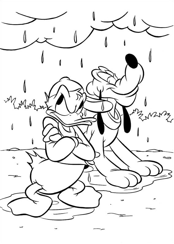 Donald And Pluto In The Rain