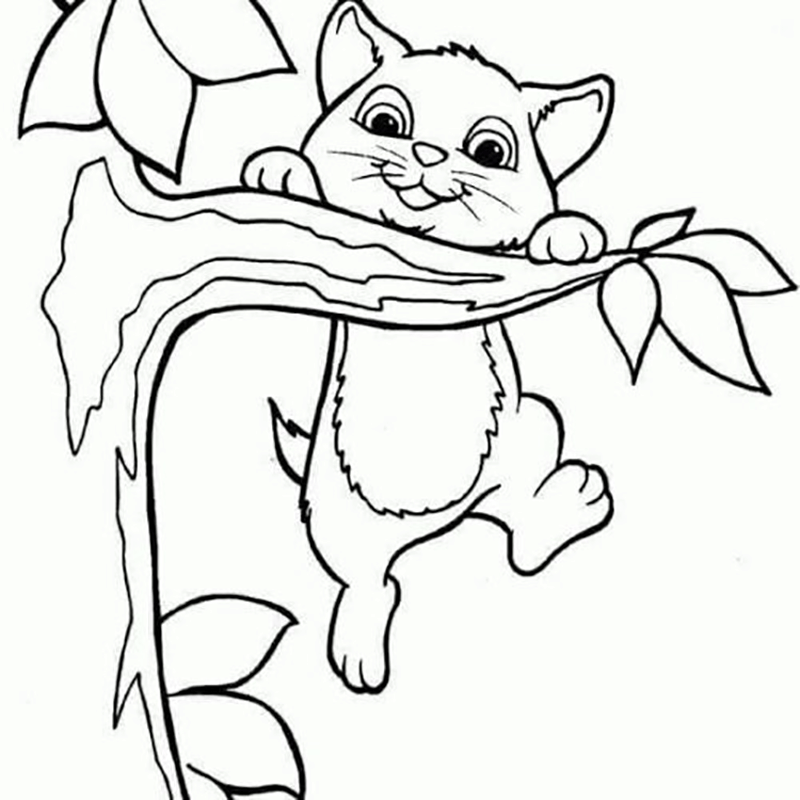Climbing Tom Coloring Game Climbing Tom