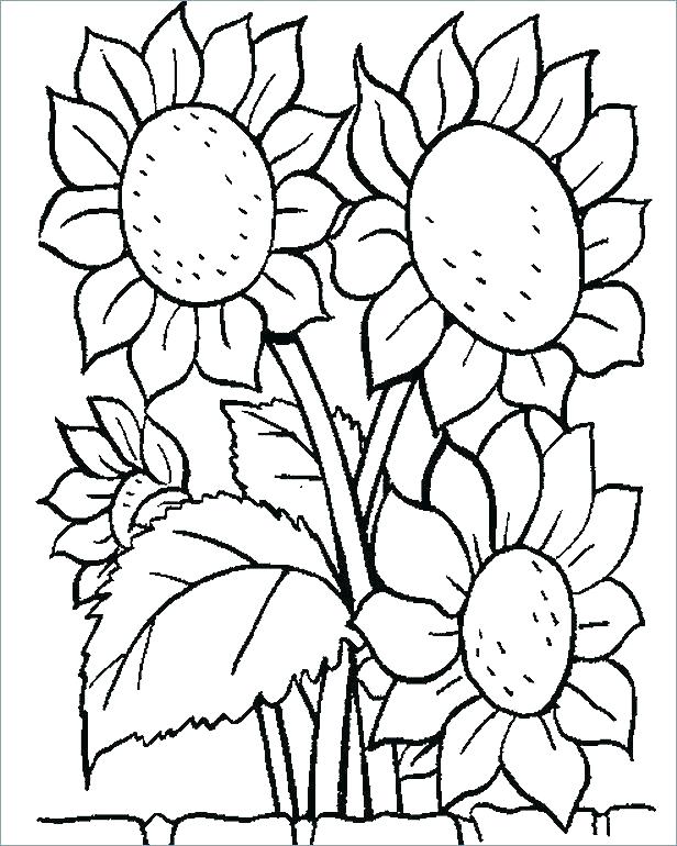 A Bunch Of Sunflowers Coloring Game A Bunch Of Sunflowers