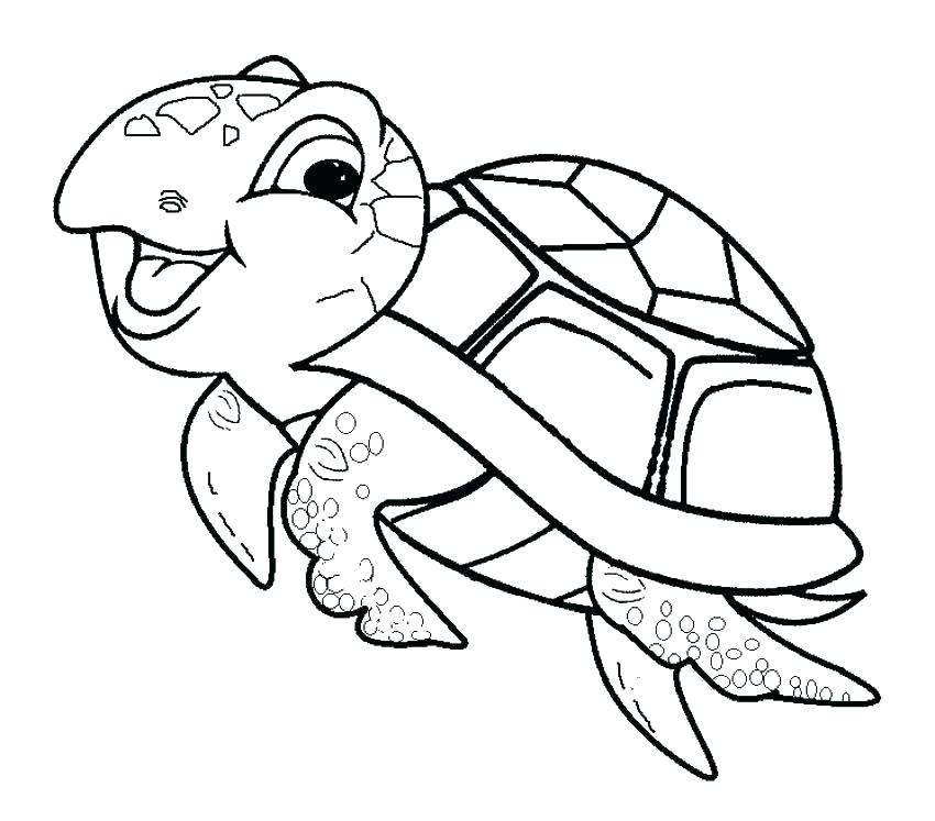 Cute Baby Sea Turtle Coloring Game Cute Baby Sea Turtle