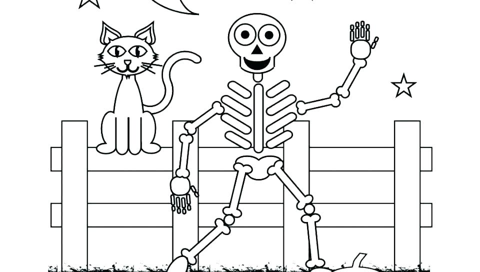 Halloween Cat