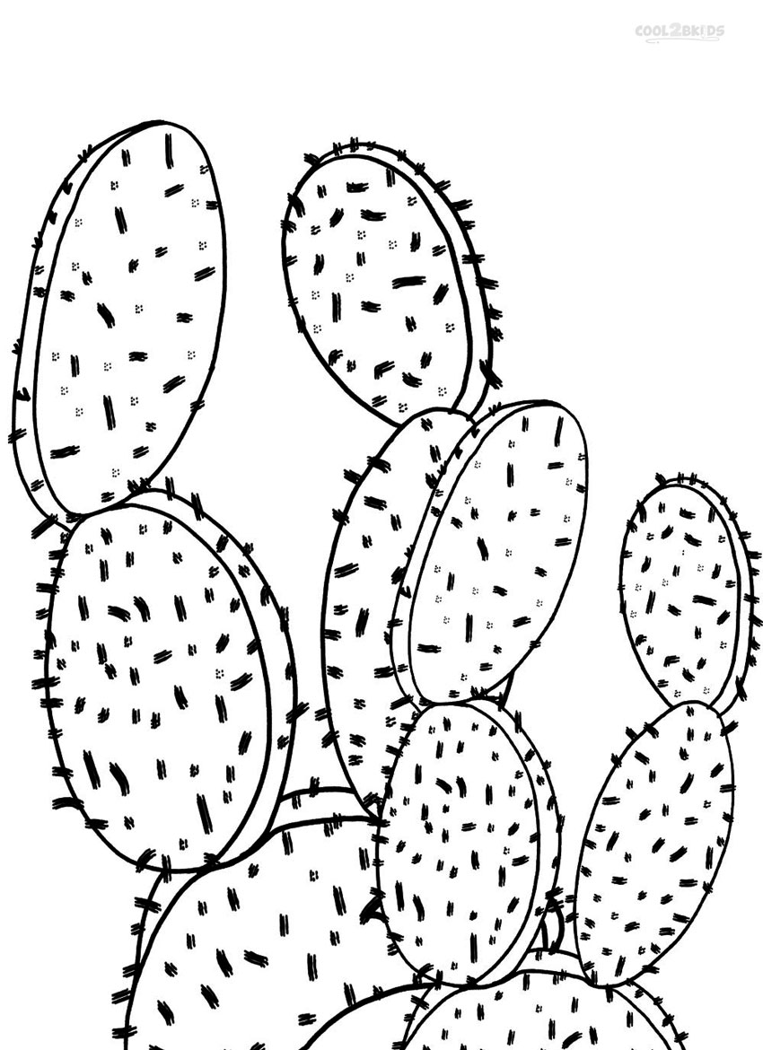 Desert Cactus Coloring Game Desert Cactus