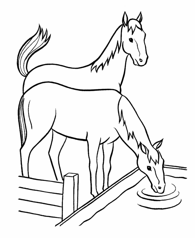 Horse Drinking Water Coloring Game Horse Drinking Water