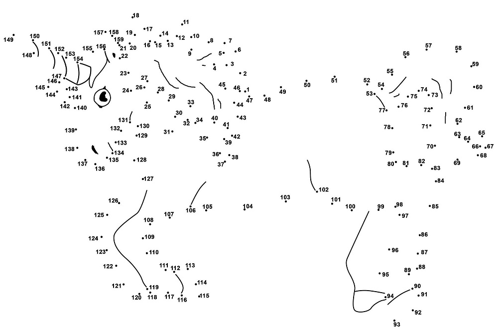 Unicorn Dot To Dots Coloring Game Unicorn Dot To Dots