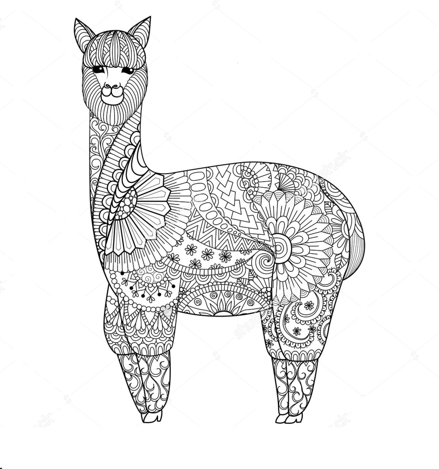 Mandala Llama