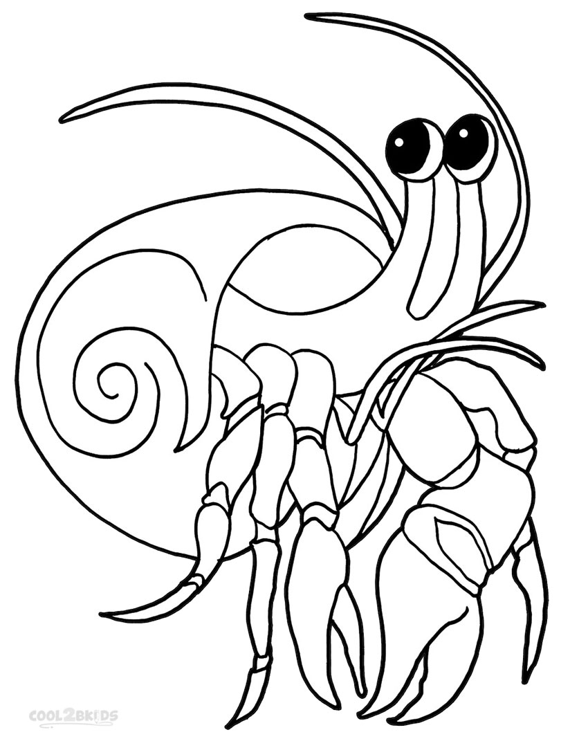 Cute Hermit Crab Coloring Game Cute Hermit Crab