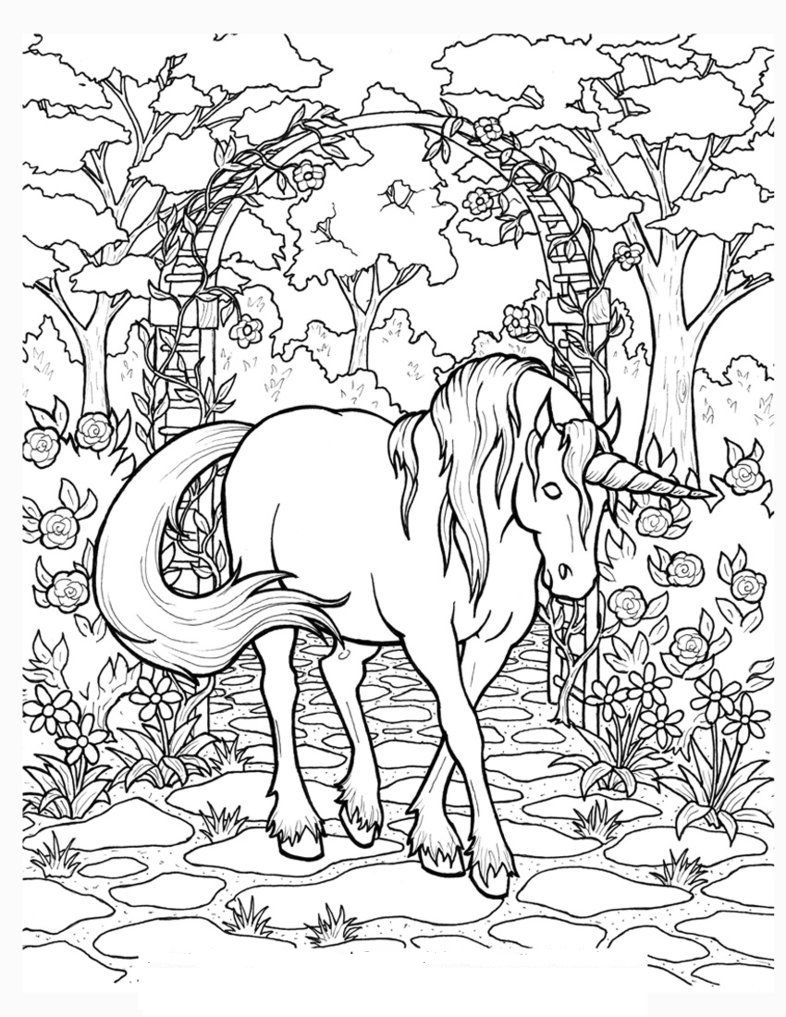 Unicorn In The Wood Coloring Game Unicorn In The Wood
