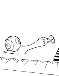 Turbo Trying To Finish The Race