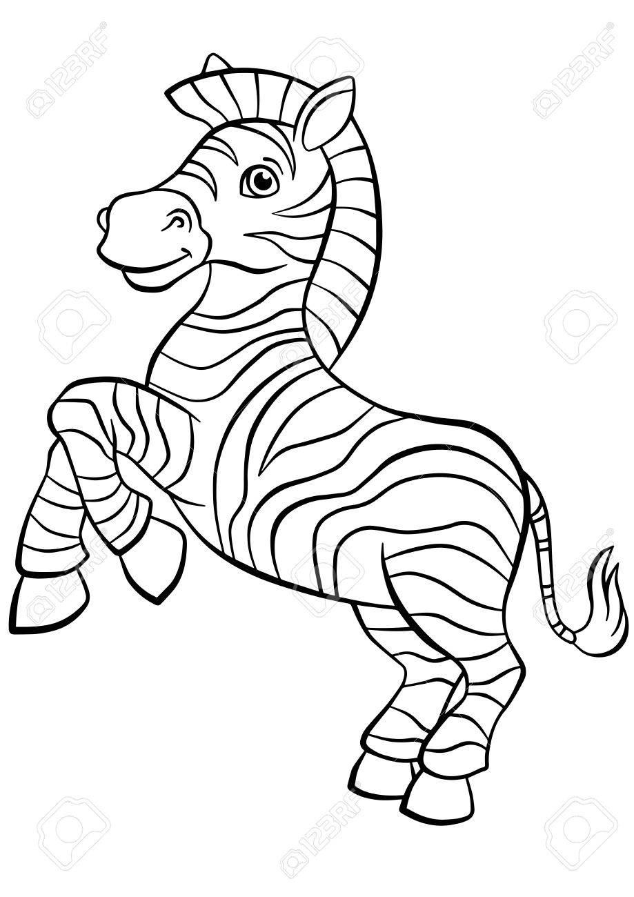 Lovely Zebra