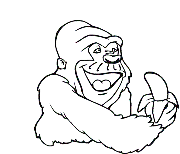 Gorilla