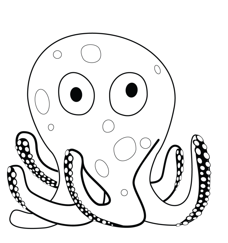 Cute Octopus