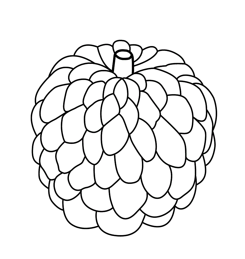 Custard Apple