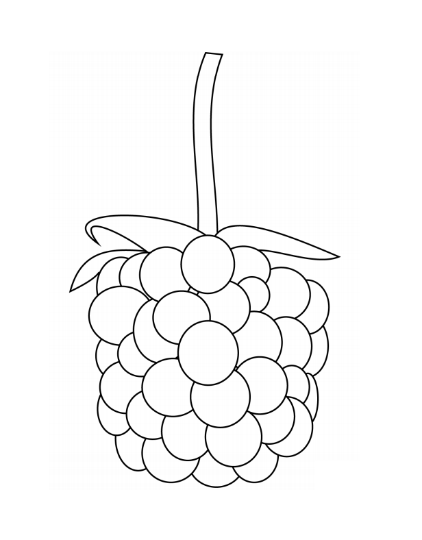 A Blackberry