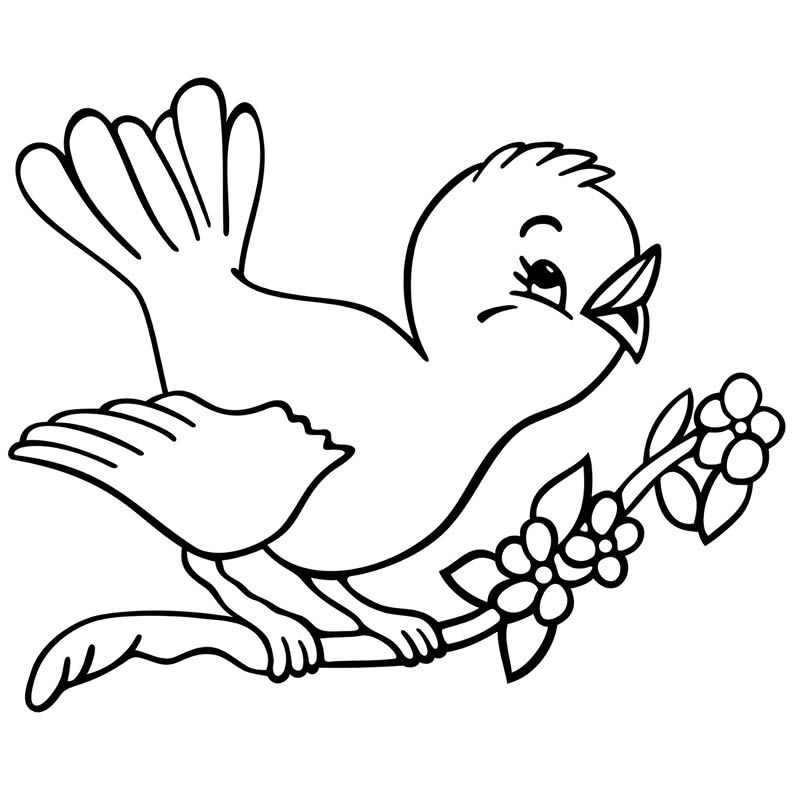 Bird On Branch Coloring Game Bird On Branch