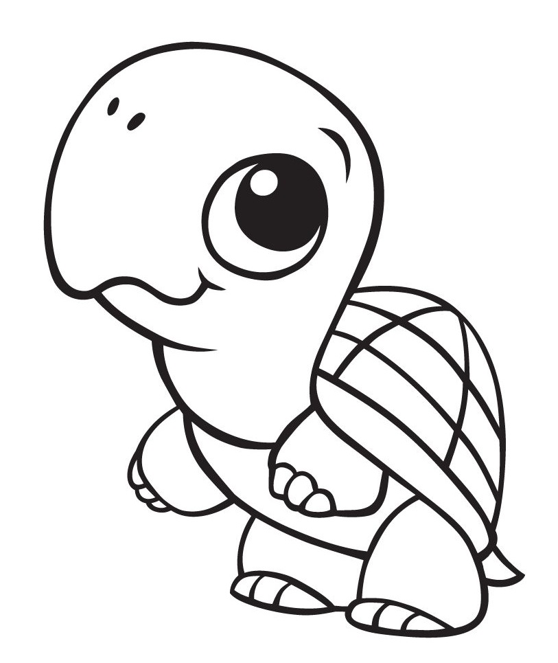 Cute Baby Turtle Coloring Game Cute Baby Turtle