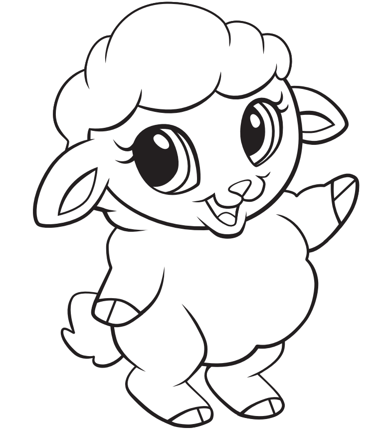 Sheep