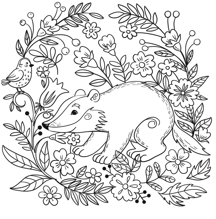 A Badger Coloring Game A Badger