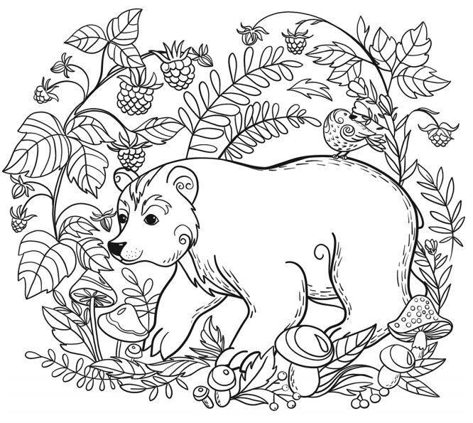A Bear Coloring Game A Bear