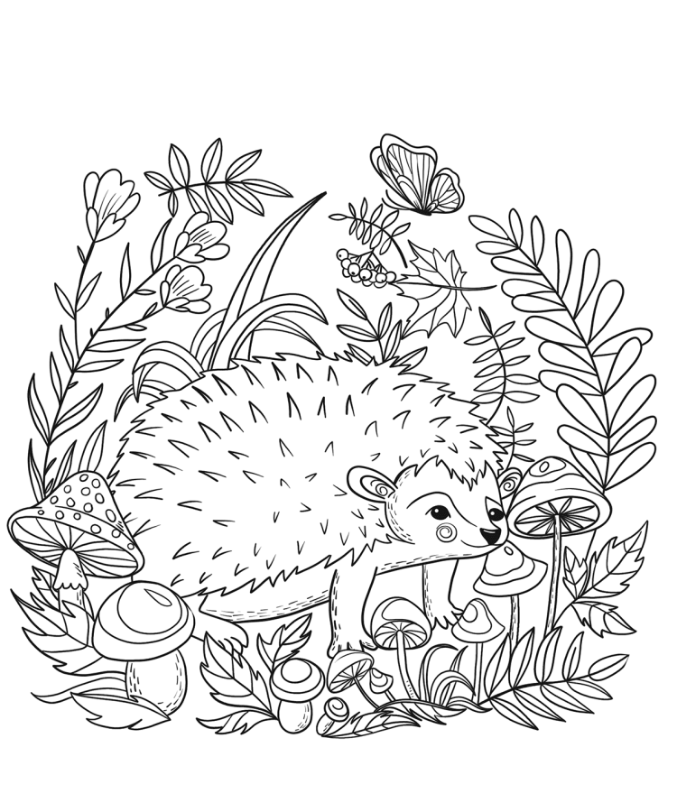 Hedgehog