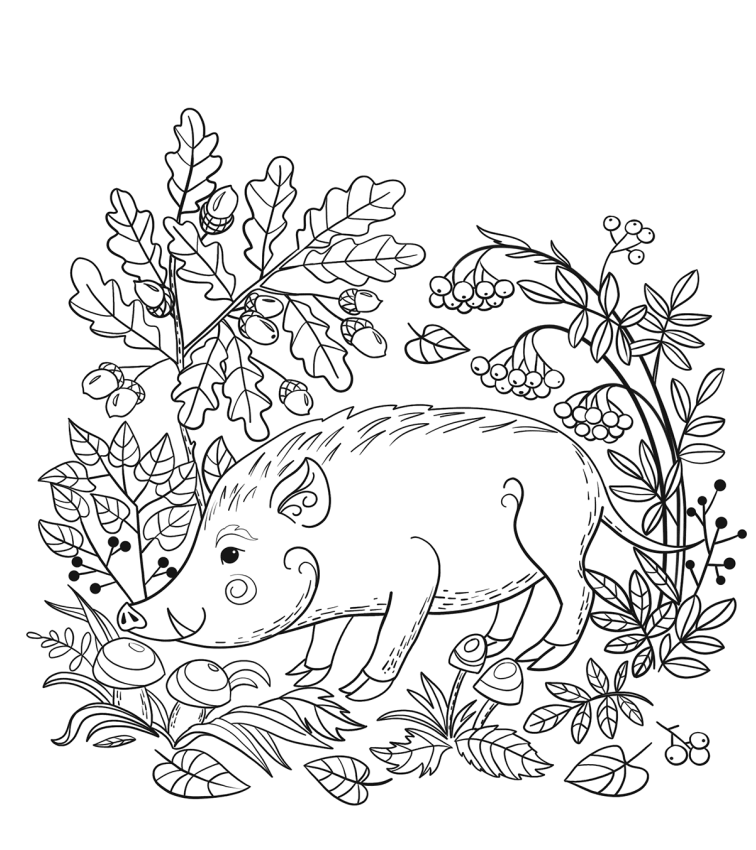 Wild Boar In The Forest Coloring Game Wild Boar In The Forest