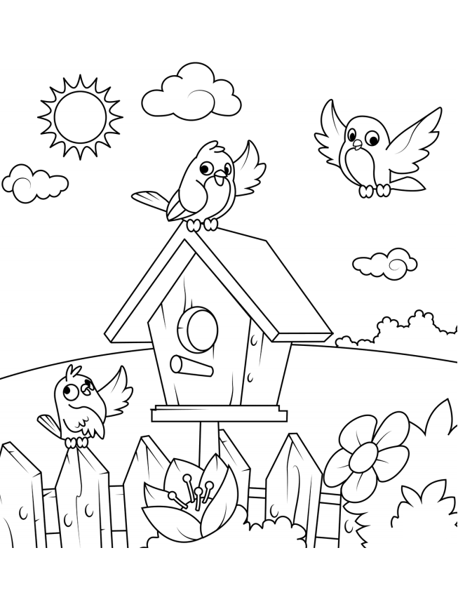 Birds And Their House Coloring Game Birds And Their House