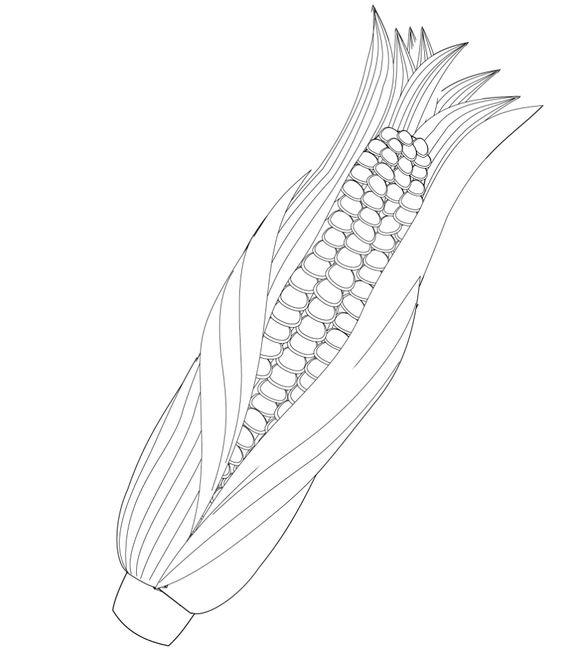 Maize