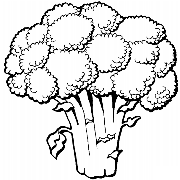 A Broccoli