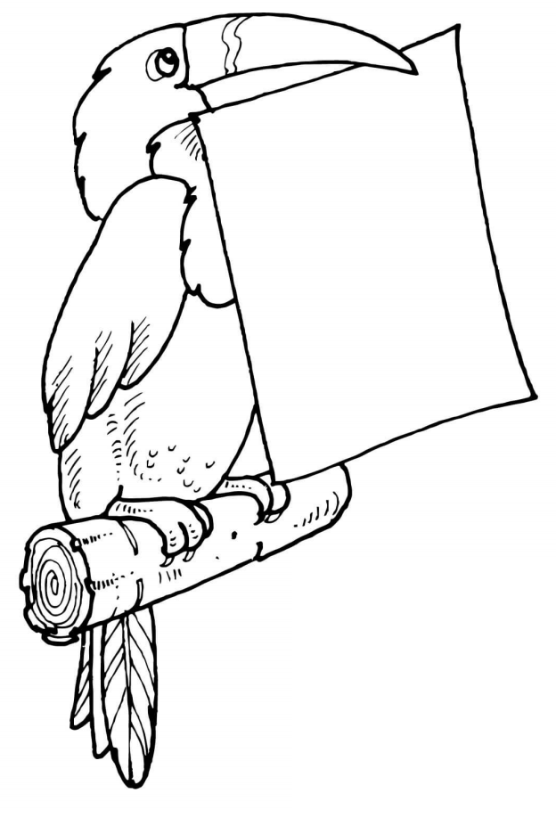 Toucan Holding Letter Coloring Game Toucan Holding Letter