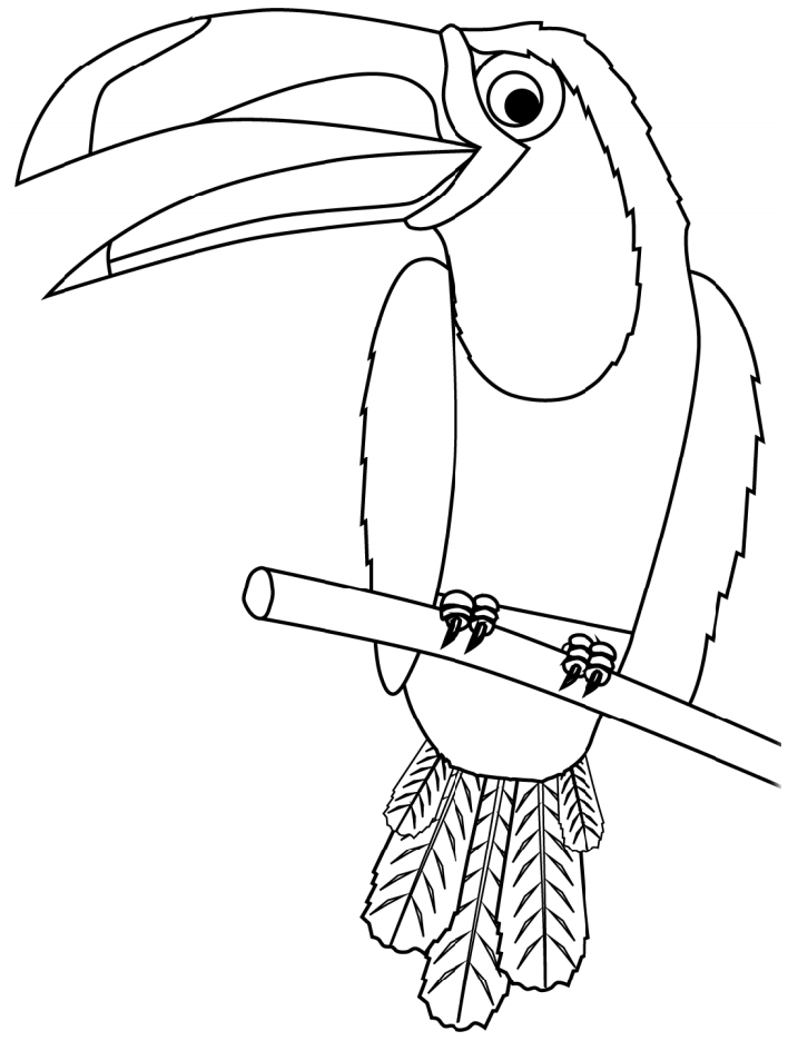 Toucan On Branch Coloring Game Toucan On Branch