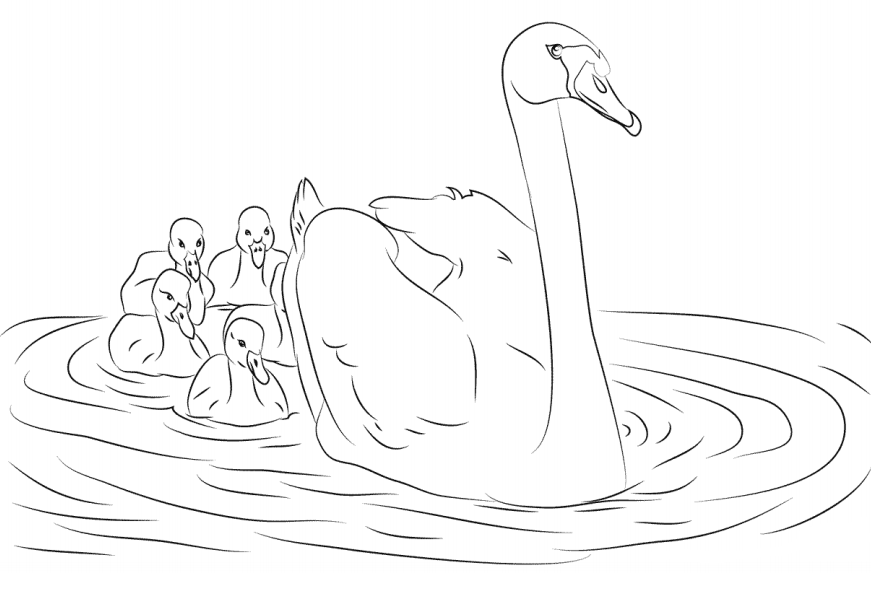 Swan And Her Cygnets Coloring Game Swan And Her Cygnets