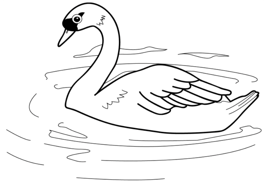 Swan Swimming Coloring Game Swan Swimming