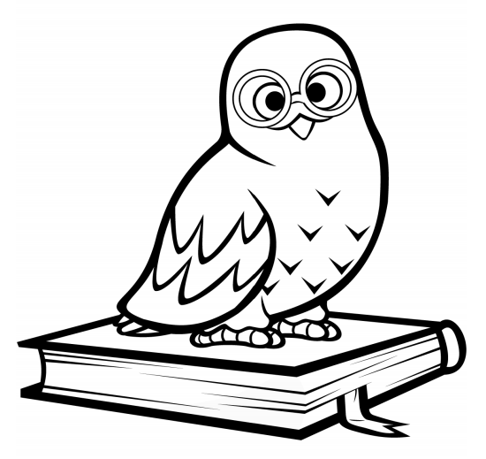 Owl On The Book Coloring Game Owl On The Book