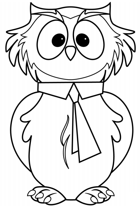 Cartoon Owl Coloring Game Cartoon Owl