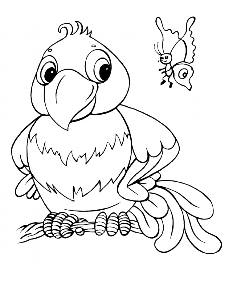 Cartoon Parrot And Butterfly Coloring Game Cartoon Parrot And Butterfly
