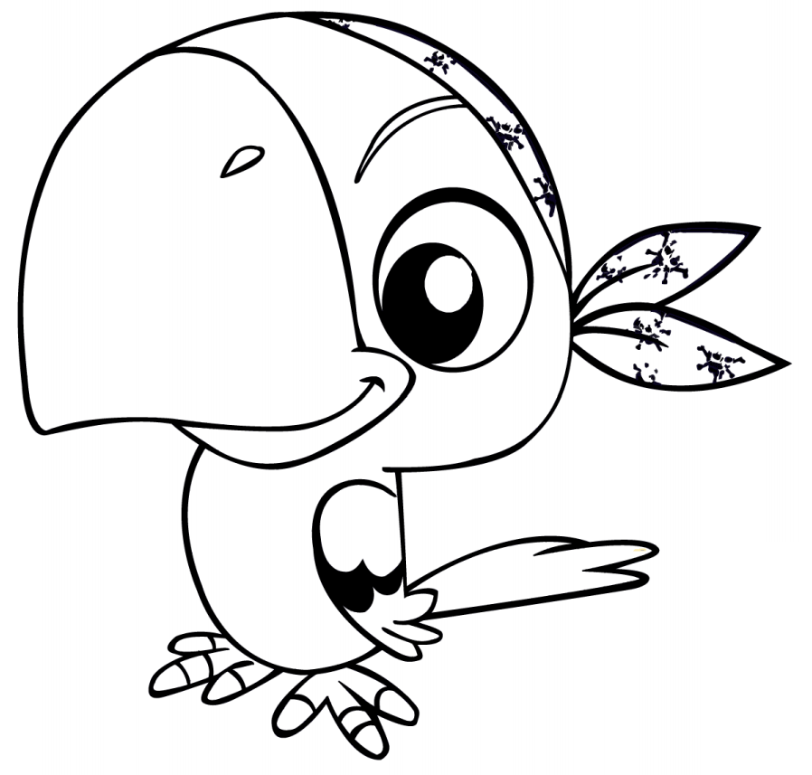Cartoon Pirate Parrot Coloring Game Cartoon Pirate Parrot