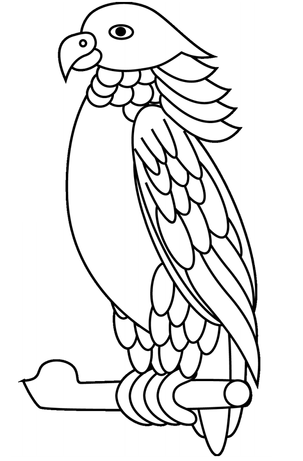A Sisserou Parrot Coloring Game A Sisserou Parrot