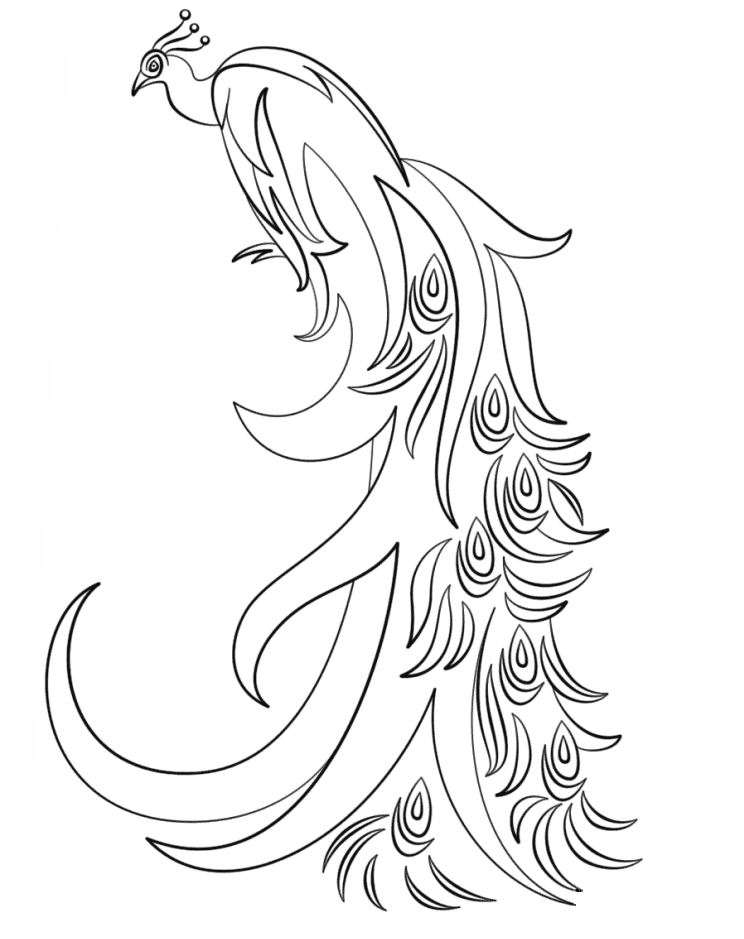 Awesome Peacock Coloring Game Awesome Peacock
