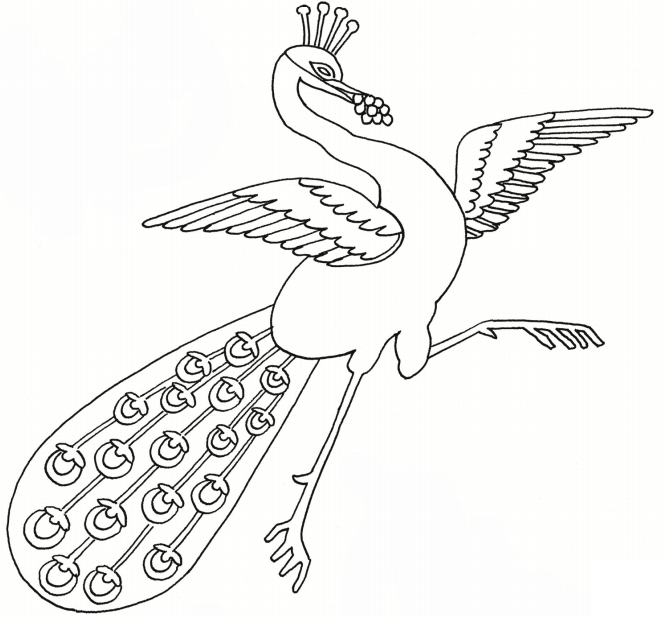Peacock Dancing Coloring Game Peacock Dancing