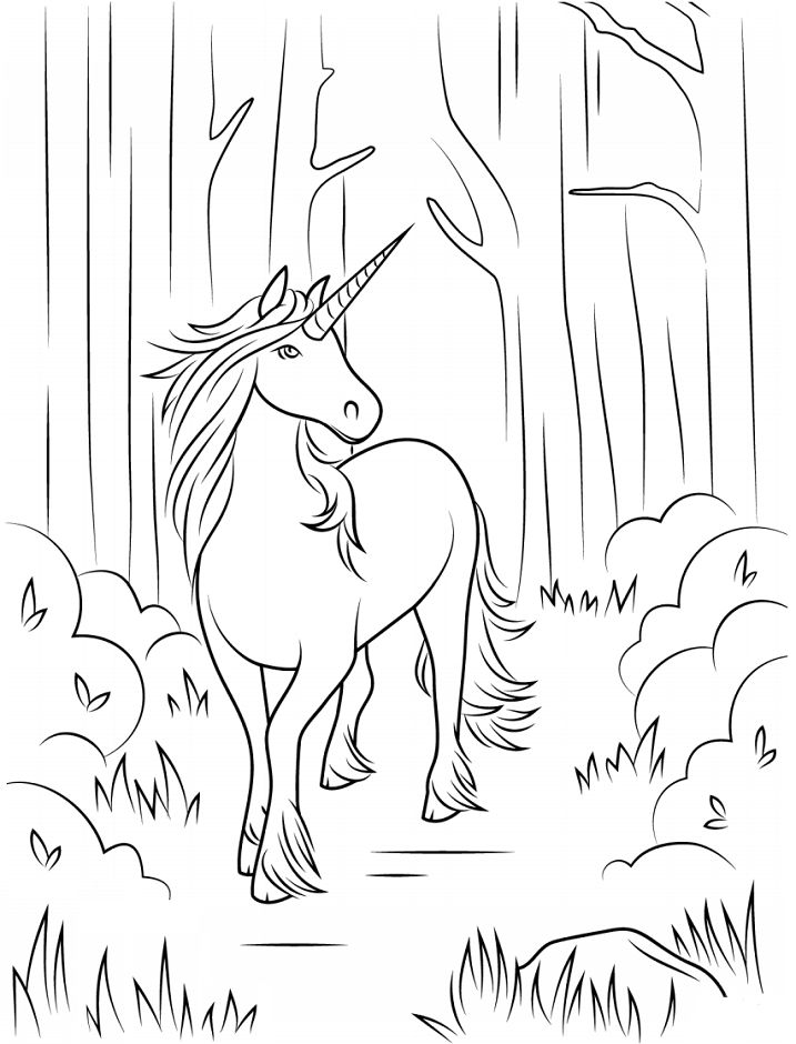 Unicorn In The Forest Coloring Game Unicorn In The Forest