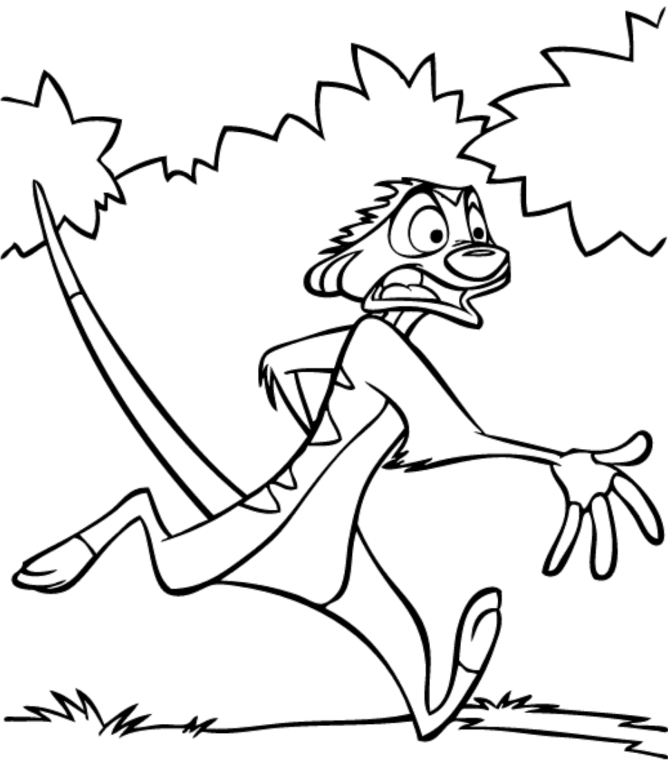 Timon Running