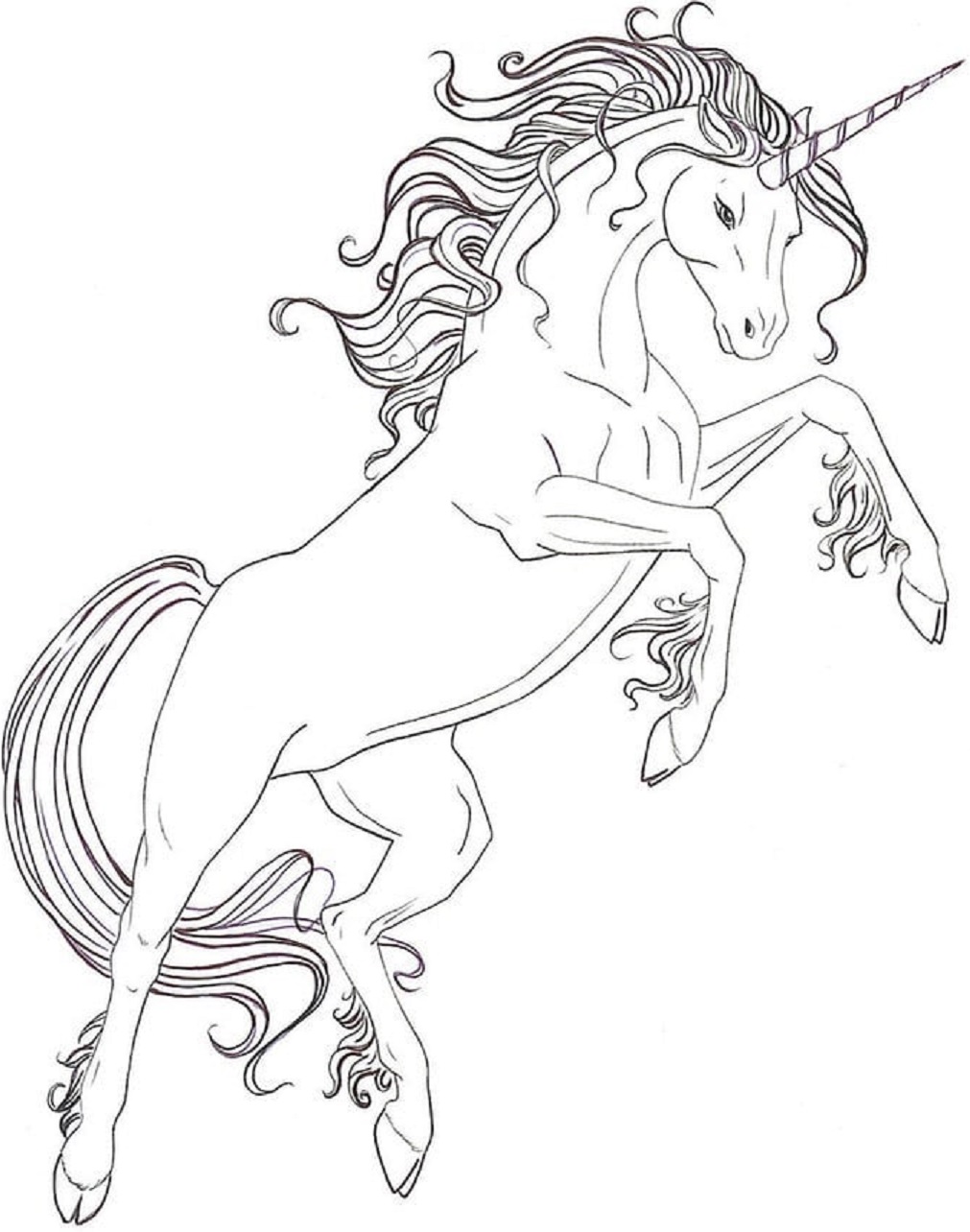 Unicorn Jumping Coloring Game Unicorn Jumping
