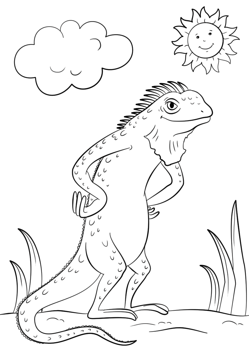 Cartoon Iguana Lizard