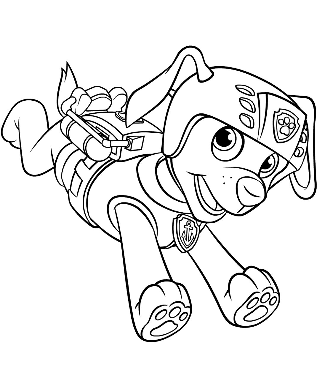 PAW Patrol Zuma Running