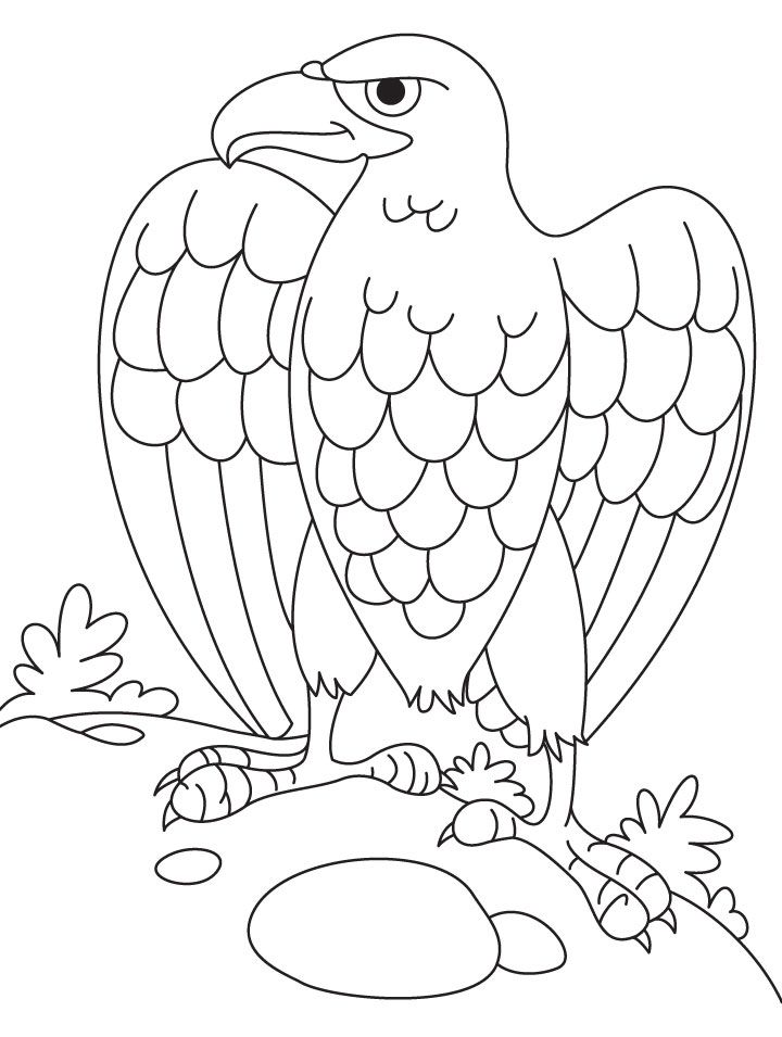 Eagle