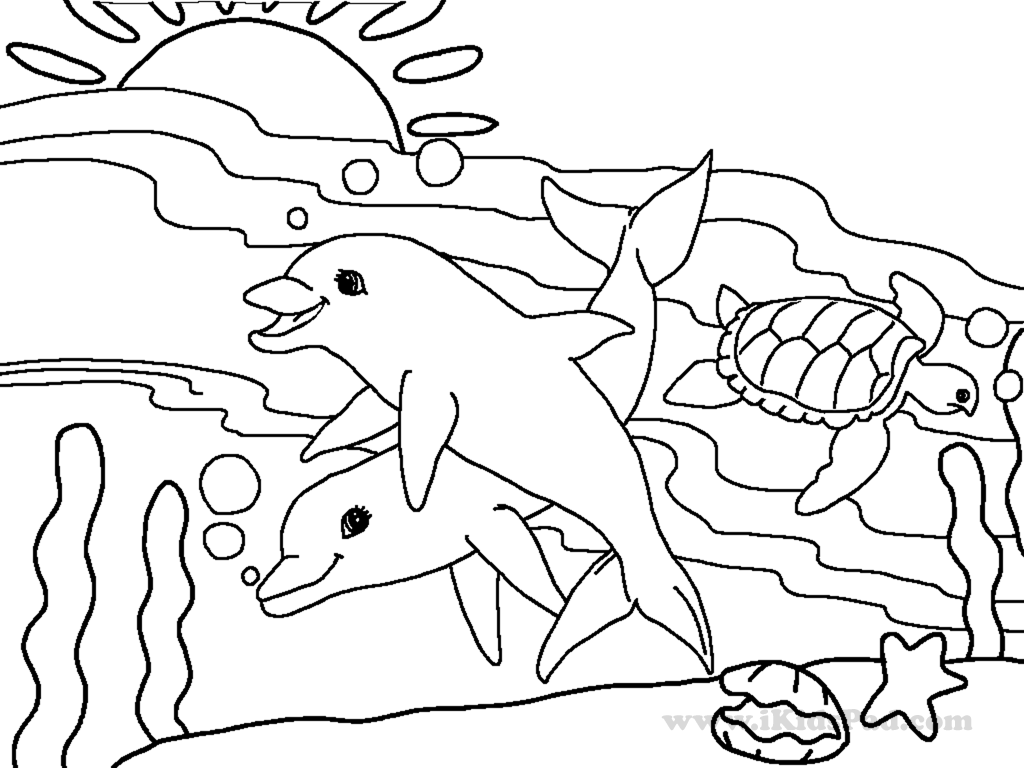 Dolphin