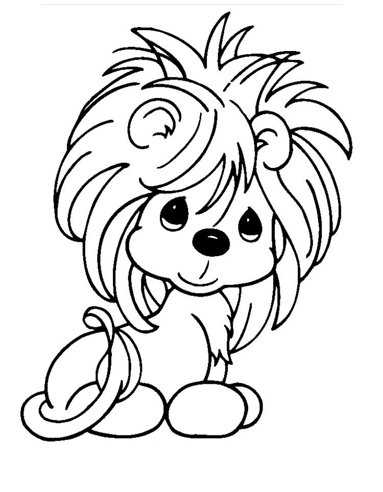 Little Lion