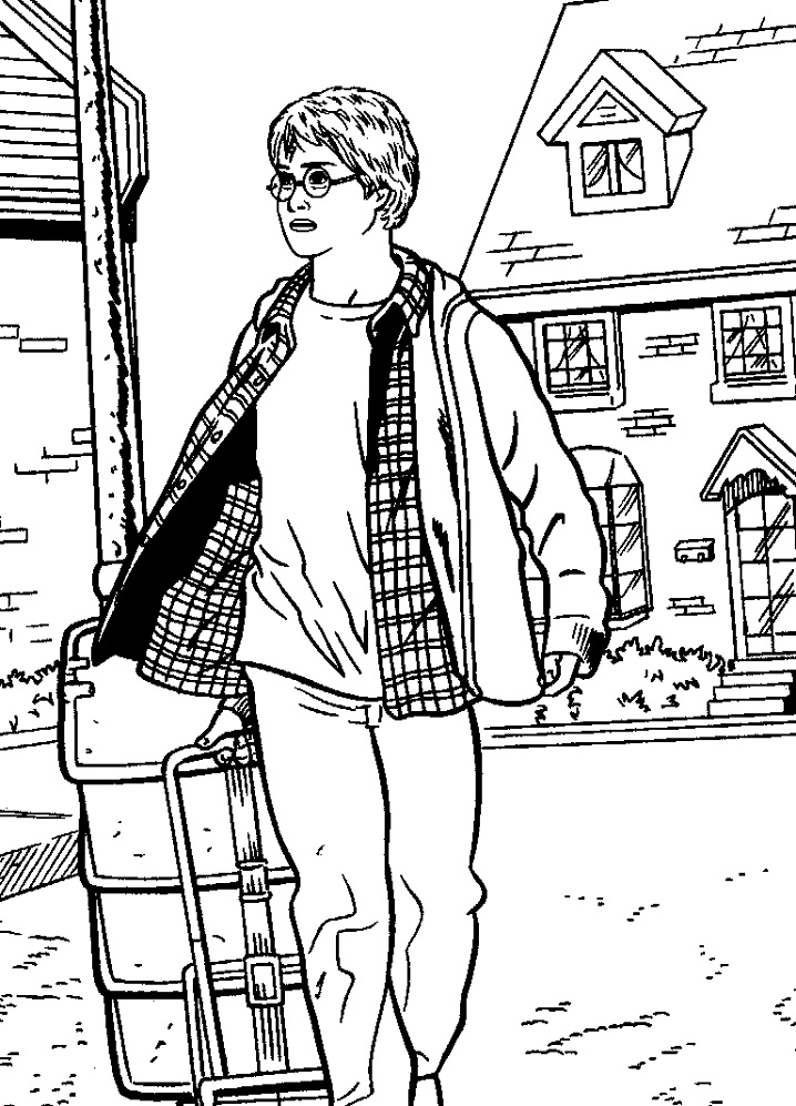 Harry and Luggage Bag