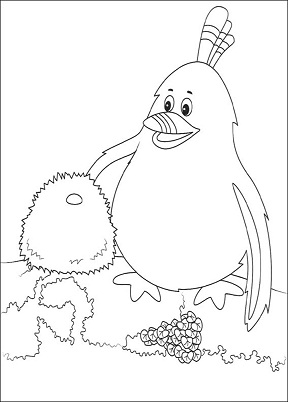 Fimbles