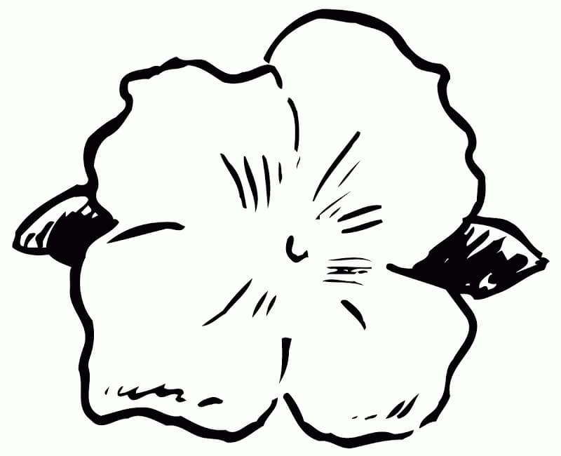 April Hibiscus Coloring Game April Hibiscus